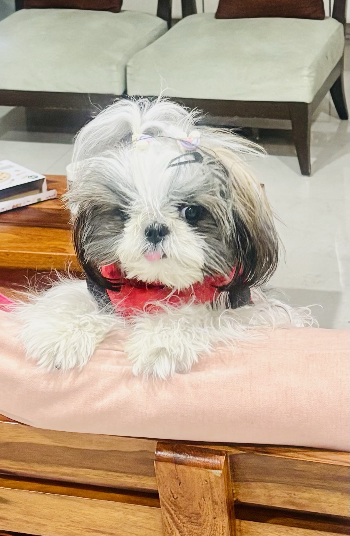 Kiwi, My Little Magic…